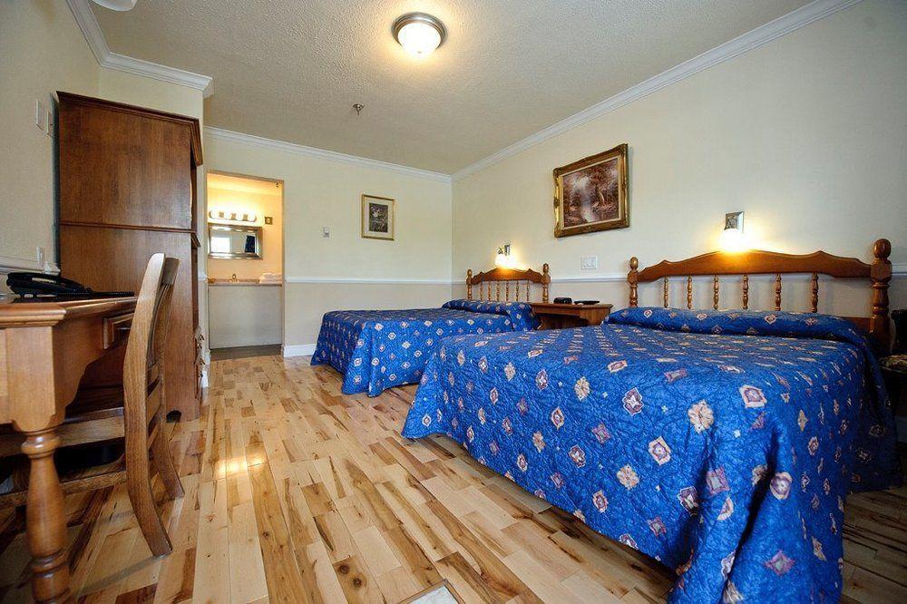 Motel The Martin Arms Sydney Zewnętrze zdjęcie